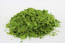 Moringa BIO