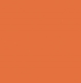 Intercoat Vinyl Orange 3835  (30 cm x 1 meter)