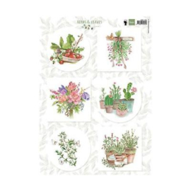 3D Marianne Design A4 Cardtoppers Sheet - Herbs & Leaves 2 EWK1255