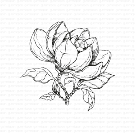 Gummiapan - Unmounted rubber stamp - 25010104 - Magnolia