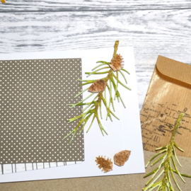 Gummiapan - dies - D221076 - Small Pine Cones