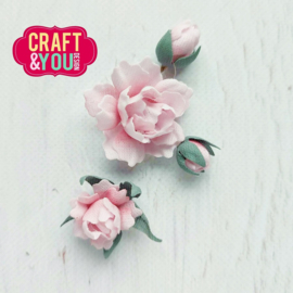 Craft & You Design CW258 Cutting Die - Magda's Flower Stalks