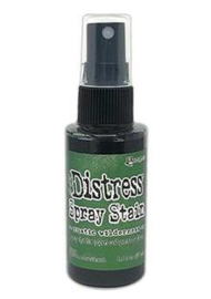 Ranger Distress Spray Stain - Rustic Wilderness TSS72850 Tim Holtz