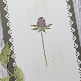 Gummiapan - dies - D260160 - Thistle