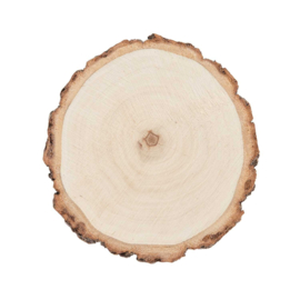 Houten schijf klein Ø9-12cm 1cm dik