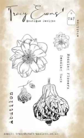 Tracy Evans - Abutilon (A6 Stamp)