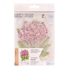 Couture creations Peony Stamp And Colour Set (5pc) -  CO728574