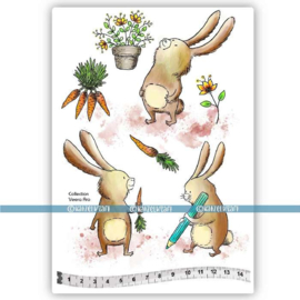 Katzelkraft - Funny Les Lapins - Rubber Stamp - KTZ271