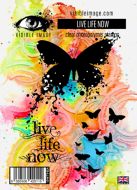 Visible image Live Life Now Stamp Set