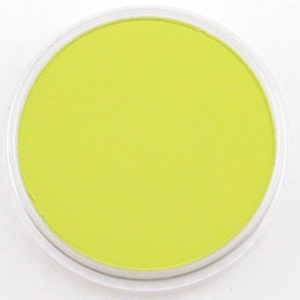 Pan Pastel -  Bright Yellow Green