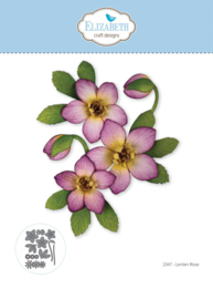 Elizabeth craft design - Lenten Rose - 2347