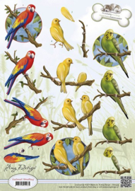 3D Knipvel - Amy Design - Animal Medley - Tropical Parrots CD10539