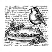 Crafty Individuals CI-575 - 'The Redbreast' Unmounted Rubber Stamps