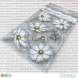 Create a smile Clear A6 Cosmea