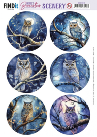 Push-Out Scenery - Berries Beauties - Owl Round - BBSC10013