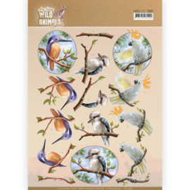 Amy Design - 3D Knipvel - Wild Animals Outback - Parrot CD11486