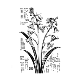 Crafty Individuals CI-572 - 'Counting Bluebells' Unmounted Rubber Stamps