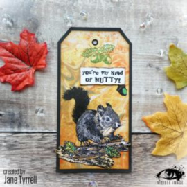 Visible image Nuts About Squirrels Stamp Set