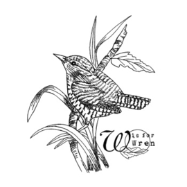 Crafty Individuals CI-604  'W is for Wren' Unmounted Rubber Stamps