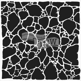 TCW 6x6 TCW564s Organic Matter Stencil