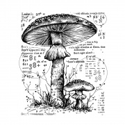 Crafty Individuals CI-574 - 'Counting Toadstools' Unmounted Rubber Stamps
