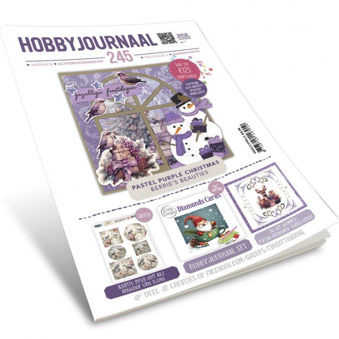 Hobbyjournaal 245 - HJ245