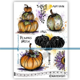 Katzelkraft - Champ de citrouilles - Rubber stamp - KTZ278