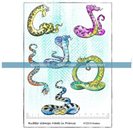 Katzelkraft - Snakes - Rubber Stamp - KTZ315