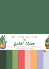 The Paper Boutique -  PB1973 - Lookin' Sharp Colour Card Collection