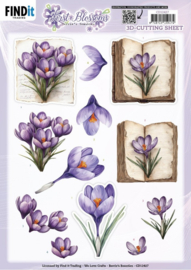 3D Cutting Sheet - Berries Beauties - First Blossoms - Blooming Tales - CD12427