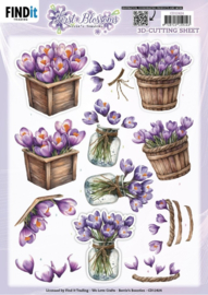 3D Cutting Sheet - Berries Beauties - First Blossoms - Crocus Charm - CD12424