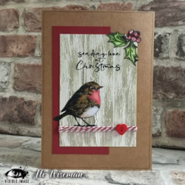 Visible image Christmas Robin Stamp Set