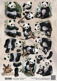 3D Knipvel - Amy Design - Wild Animals - Pandas CD10917