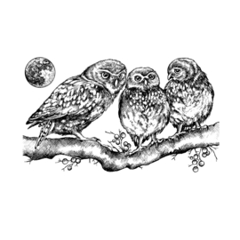 Crafty Individuals CI-513 - 'Owl Family' Unmounted Rubber Stamps