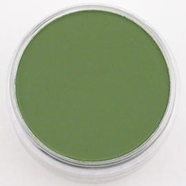 Pan Pastel -  Chromium Oxide Green Shade