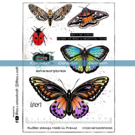 Katzelkraft - Metamorphosis Papillons - Rubber Stamp - KTZ283