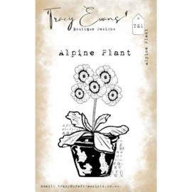 Tracy Evans - Alpine Plant (A7 stamp)