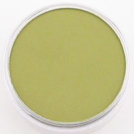 Pan Pastel -  Bright Yellow Green Shade