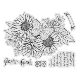 Couture creations Sunflower Stamp And Colour Set (5pc) - CO728578