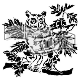 TCW 6x6 TCW609s Curious Owl