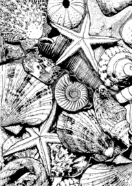 Crafty Individuals CI-496 Seaside Treasures Unmounted Rubber Stamps