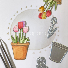 Gummiapan - dies - D240505 - Tulips in a pot