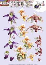 3D Knipvel - Precious Marieke - Orchideeën CD10830
