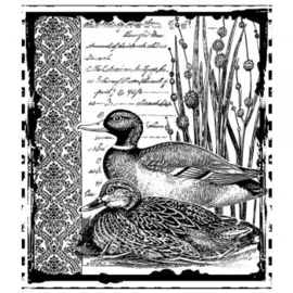 Crafty Individuals CI-297  'Mallard Duck Pair' Unmounted Rubber Stamps