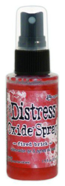 Ranger Distress Oxide Spray - Fired Brick TSO64749 Tim Holtz