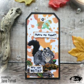 Visible image Nuts About Squirrels Stamp Set