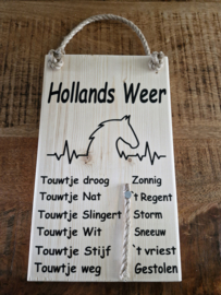 Weer bericht paarden hoofd