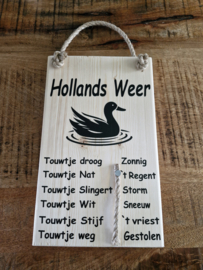 Weerbericht eend