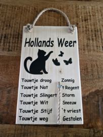 Weerbericht kat met vlinders