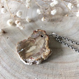 Ketting Versteend Hout